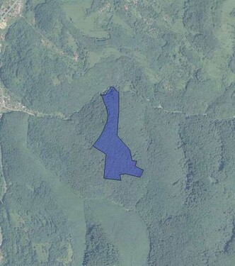 Bild 1 - Rumänien 10 Ha Laubwald zu verkaufen