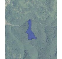 Rumänien 10 Ha Laubwald zu verkaufen - Hunedoara