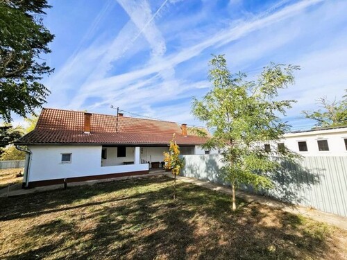 Bild 1 - In Ungarn etablierte profitable Hundepension zum Verkauf