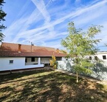 In Ungarn etablierte profitable Hundepension zum Verkauf - Kiskunhalas