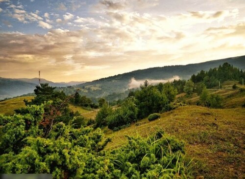 Bild 1 - 140 ha Waldfläche für Wiederaufforstung