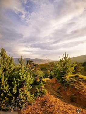 Bild 3 - Grundstück in Pescari