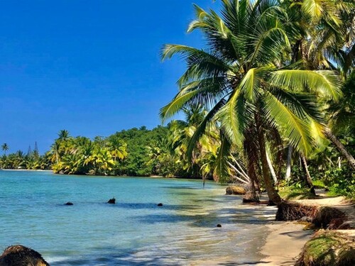 Bild 1 - Costa Rica 2500-5000m2 Bauland 2 km vom Meer