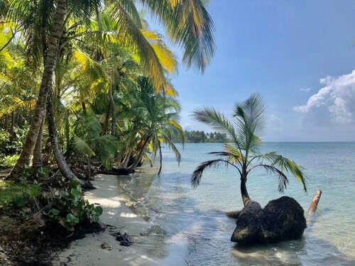 Bild 2 - Grundstück zum Kaufen in Bejuco