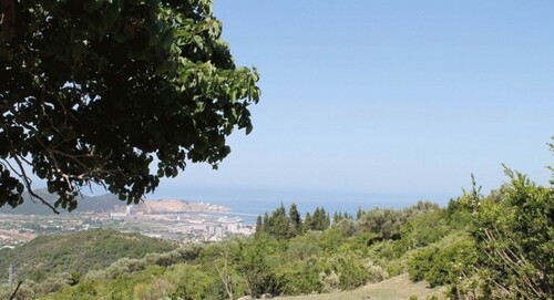 Bild 2 - Grundstück zum Kaufen in BAR