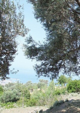 Bild 4 - Grundstück in BAR zum Kaufen