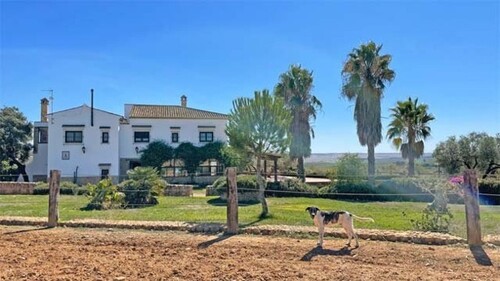 Bild 1 - 87 Hektar Finca Provinz Huelva ideal zur Pferde-Rinderzucht