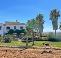 87 Hektar Finca Provinz Huelva ideal zur Pferde-Rinderzucht - Chucena - Paterna del Campo