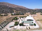 Bild 1 - Reitanlage in Griechenland nahe Athen zu verkaufen