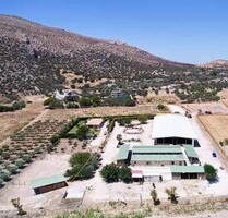 Reitanlage in Griechenland nahe Athen zu verkaufen - Kalyvia Thorikou