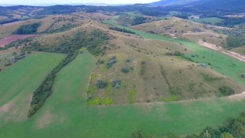 Bild 1 - 48 Hektar zusammenhängendes Grünland