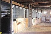 Bild 4 - Einfamilienhaus mit 400,00 m² in Wurster Nordseeküste zum Kaufen