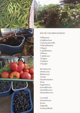 Bild 5 - 