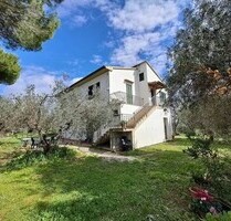 Schönes Anwesen in Hanglage mit Meerblick Toskana - Suvereto
