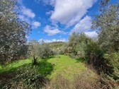 Bild 4 - Einfamilienhaus mit 1,00 m² in Suvereto zum Kaufen