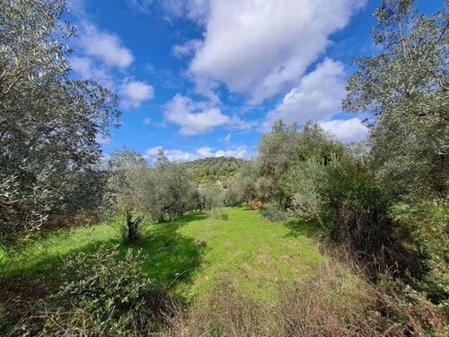 Bild 4 - Einfamilienhaus mit 1,00 m² in Suvereto zum Kaufen