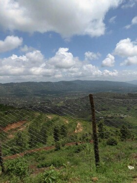 Bild 2 - Grundstück zum Kaufen in Machakos