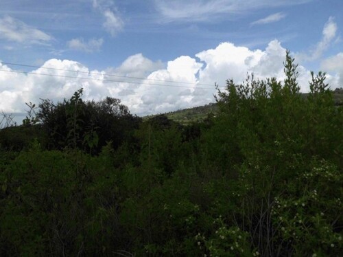 Bild 3 - Grundstück in Machakos