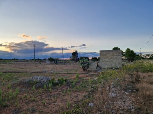 Bild 1 - Ackerland in Ortelle Lecce zu verkaufen