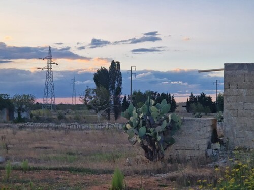 Bild 2 - Grundstück zum Kaufen in Ortelle