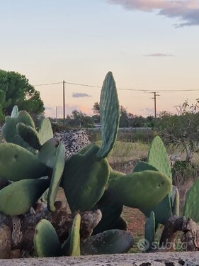 Bild 3 - Grundstück in Ortelle