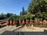 Bild 4 - Einfamilienhaus mit 155,00 m² in Kehidakustány zum Kaufen