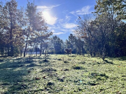 Bild 4 - Einfamilienhaus mit 50,00 m² in Olaszfa zum Kaufen