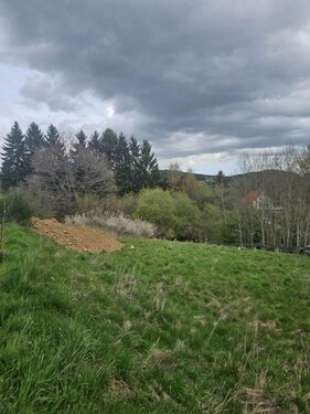 Bild 2 - Grundstück zum Kaufen in Hellenthal