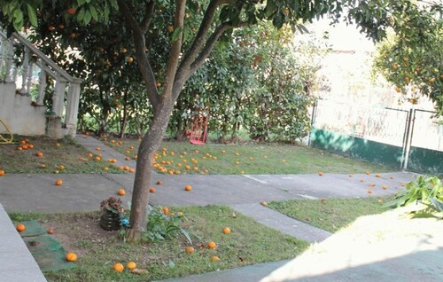 Bild 4 - Einfamilienhaus mit 99,00 m² in Bei Ulcinj zum Kaufen