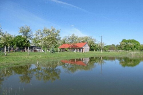 Bild 1 - In Süd-Ungarn 35ha grosses Anwesen zu verkaufen