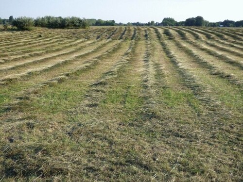 Bild 3 - 3 Zimmer Einfamilienhaus in Csólyospálos