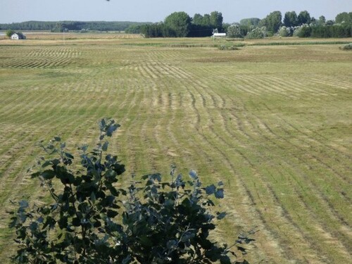 Bild 4 - Einfamilienhaus mit 70,00 m² in Csólyospálos zum Kaufen