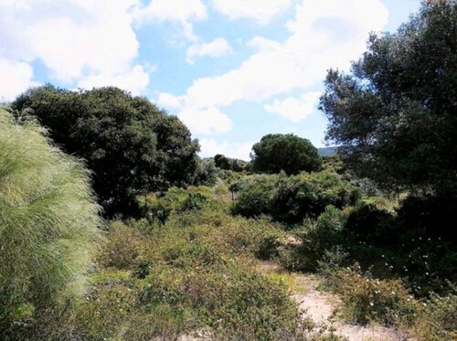 Bild 2 - Grundstück zum Kaufen in Zahora