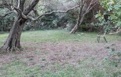 Bild 5 - 