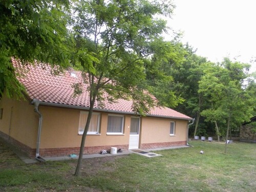 Bild 2 - 2 Zimmer Einfamilienhaus zum Kaufen in Csengele