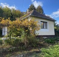 Im Komitat Zala ein 55m2 Haus zu renovieren 3300m2 Grund - Zalaköveskút