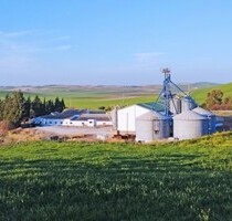 Andalusien Provinz Cadiz Finca mit viel Land und Potential - Bornos