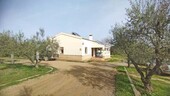 Bild 2 - 4 Zimmer Einfamilienhaus zum Kaufen in La Palma del Condado