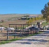 Andalusien Sotogrande Finca mit Pferdeboxen zu verkaufen - Jimena de la Frontera
