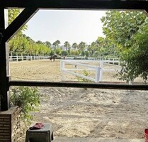 Reitanlage Reitimmobilie 10 Min zum Strand Andalusien Malaga