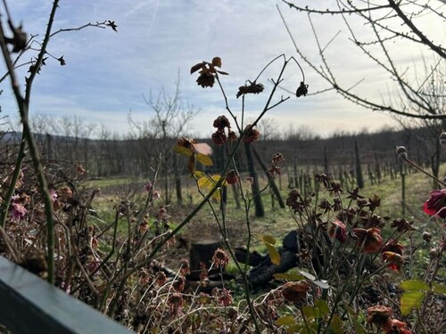 Bild 3 - 1 Zimmer Einfamilienhaus in Karmacs