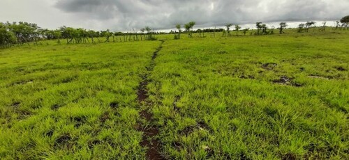 Bild 1 - 40060 m2 Land auf der Insel Sumba Timur in Indonesien