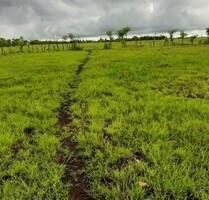 40060 m2 Land auf der Insel Sumba Timur in Indonesien - Pandawai