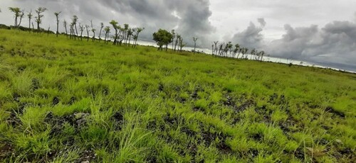 Bild 2 - Grundstück zum Kaufen in Pandawai