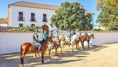 Bild 2 - 20 Zimmer Einfamilienhaus zum Kaufen in Antequera