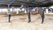 Bild 4 - Einfamilienhaus mit 1.648,00 m² in Antequera zum Kaufen
