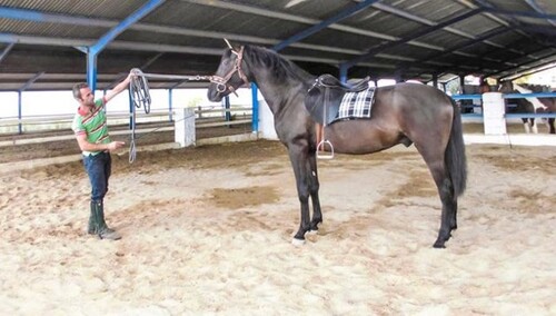 Bild 4 - Einfamilienhaus mit 1.648,00 m² in Antequera zum Kaufen