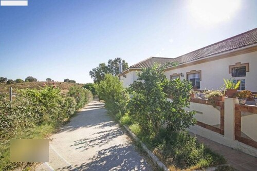 Bild 3 - 4 Zimmer Einfamilienhaus in La Puebla del Rio