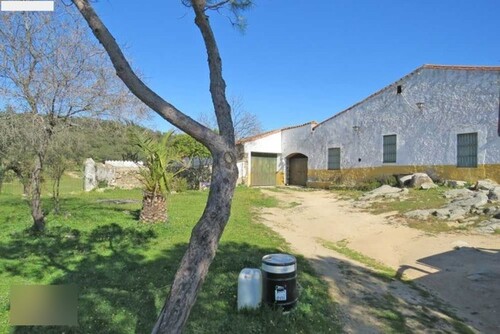 Bild 3 - 5 Zimmer Einfamilienhaus in Santa Ollala del Cala