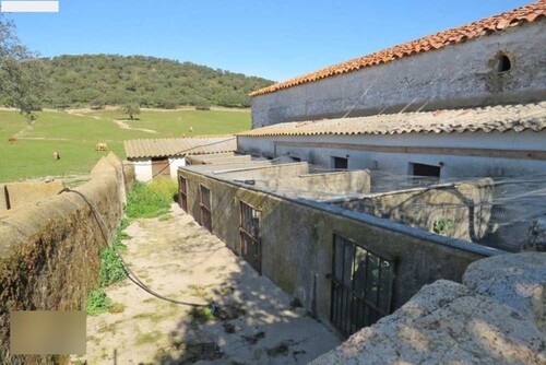 Bild 4 - Einfamilienhaus mit 300,00 m² in Santa Ollala del Cala zum Kaufen